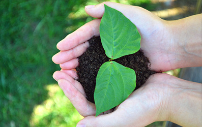 ������ʱ- �ٷ���վ