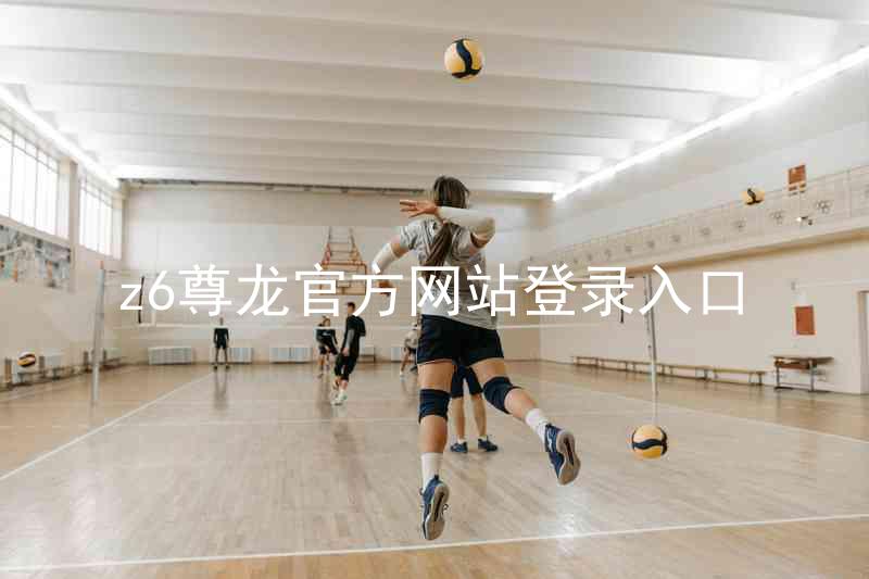 z6尊龙官方网站登录入口